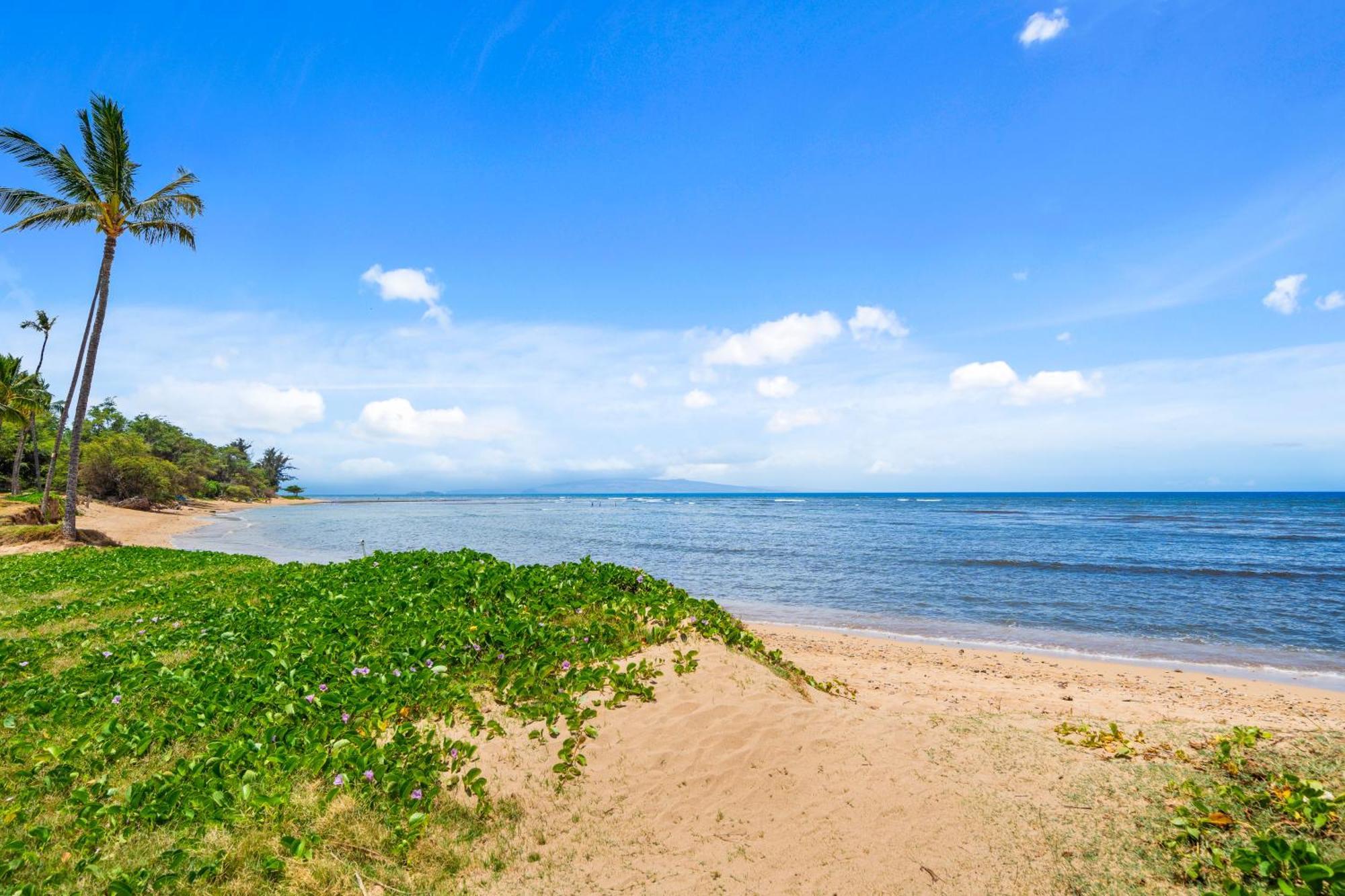Maui Schooner Resort Kihei Luaran gambar
